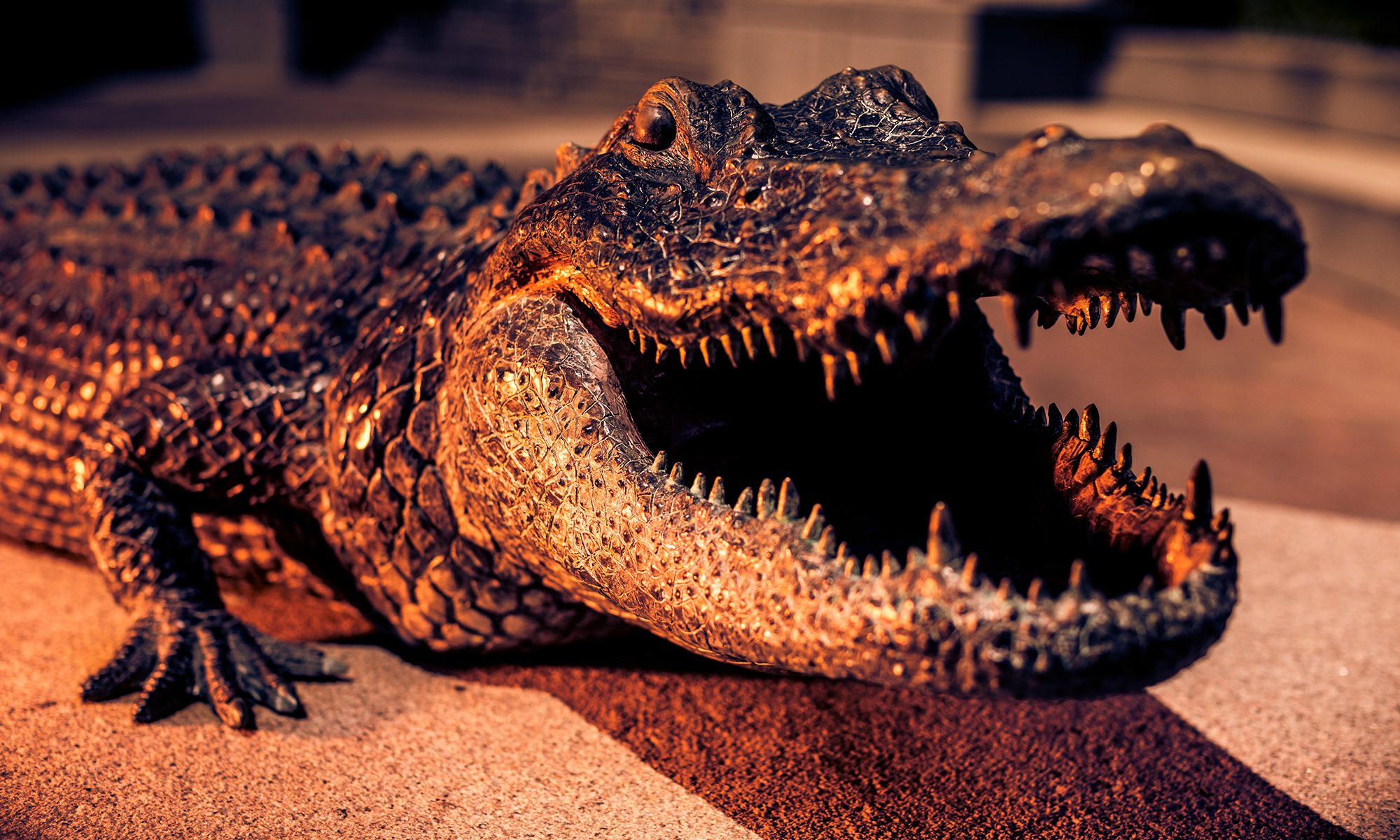 Alligator statue